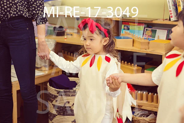MI-RE-17-3049.jpg