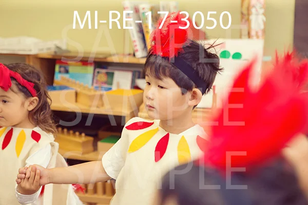MI-RE-17-3050.jpg