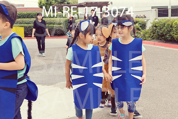 MI-RE-17-3074.jpg