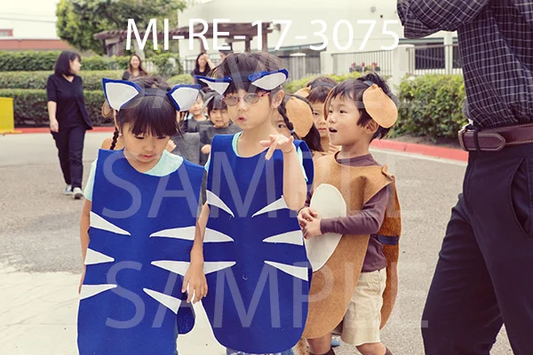 MI-RE-17-3075.jpg