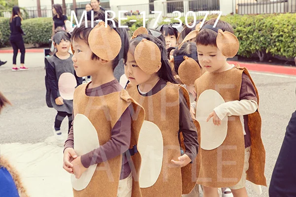 MI-RE-17-3077.jpg