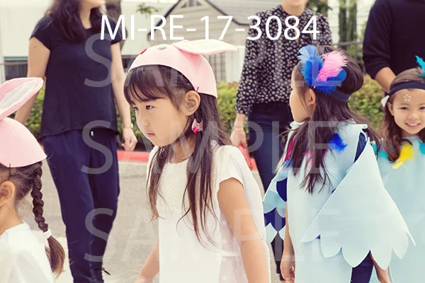 MI-RE-17-3084.jpg