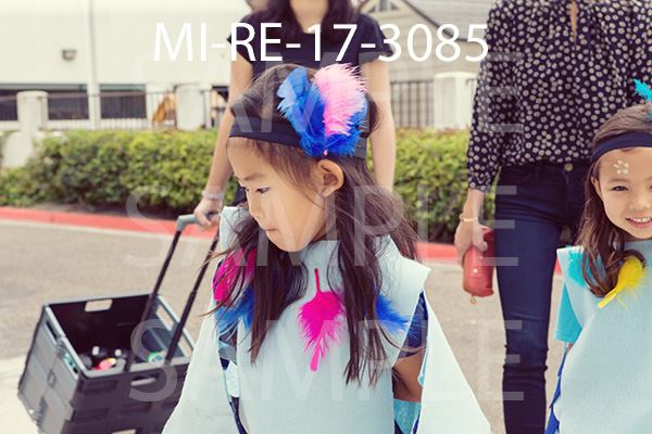 MI-RE-17-3085.jpg