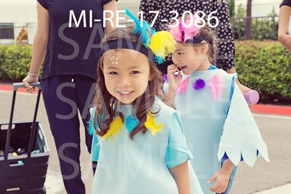 MI-RE-17-3086.jpg