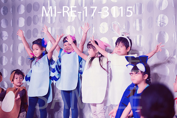 MI-RE-17-3115.jpg