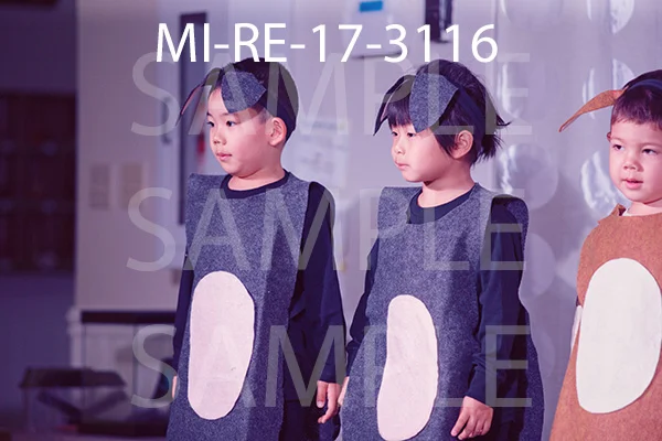 MI-RE-17-3116.jpg