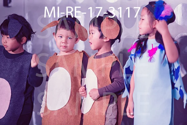 MI-RE-17-3117.jpg