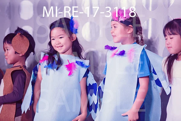 MI-RE-17-3118.jpg
