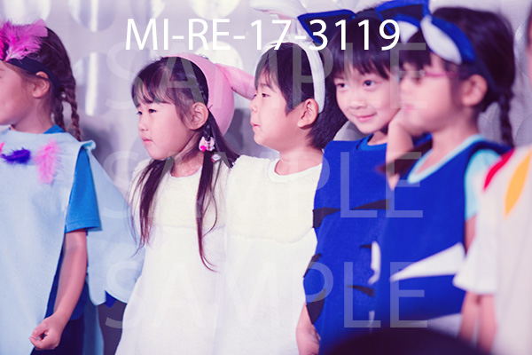 MI-RE-17-3119.jpg