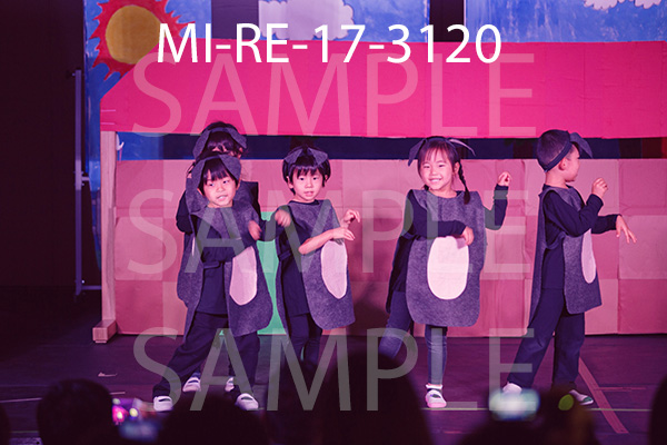 MI-RE-17-3120.jpg