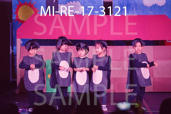 MI-RE-17-3121.jpg