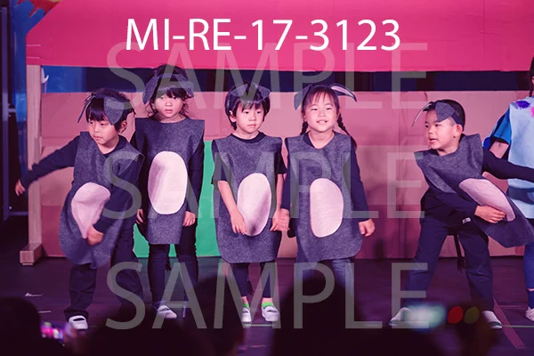 MI-RE-17-3123.jpg