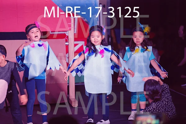 MI-RE-17-3125.jpg