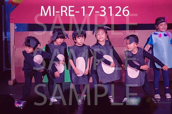 MI-RE-17-3126.jpg