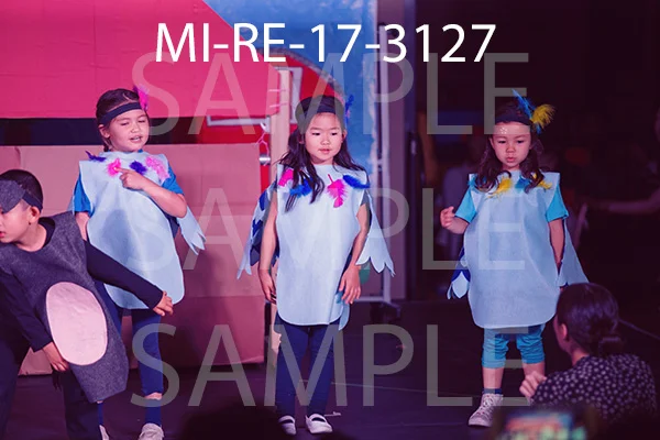 MI-RE-17-3127.jpg