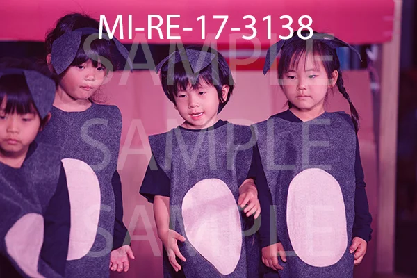 MI-RE-17-3138.jpg