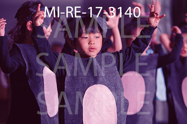 MI-RE-17-3140.jpg