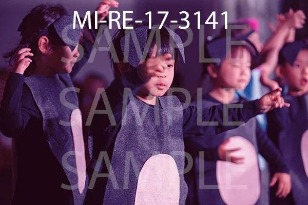 MI-RE-17-3141.jpg