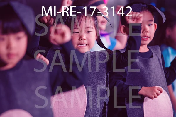 MI-RE-17-3142.jpg