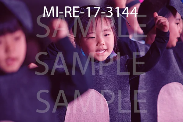 MI-RE-17-3144.jpg