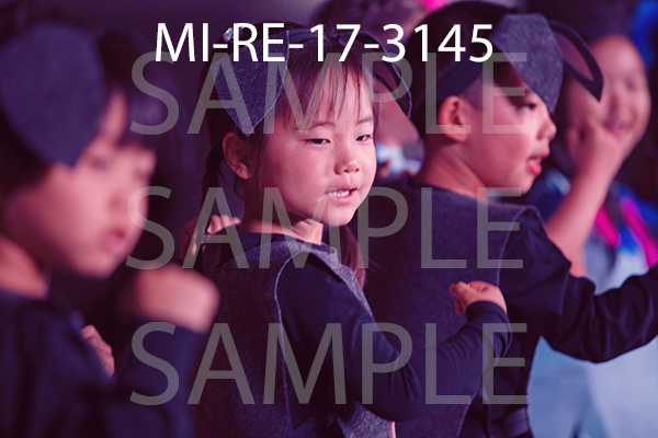 MI-RE-17-3145.jpg