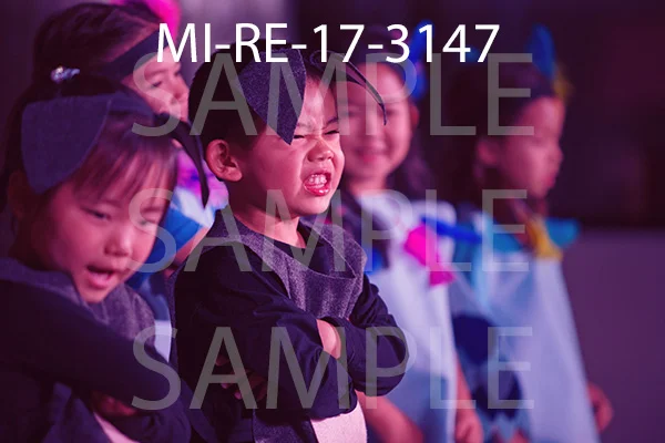 MI-RE-17-3147.jpg