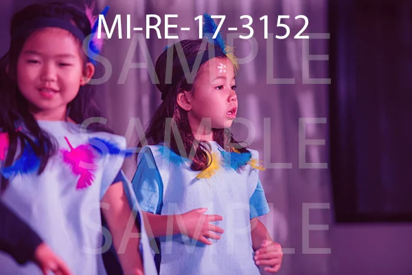 MI-RE-17-3152.jpg