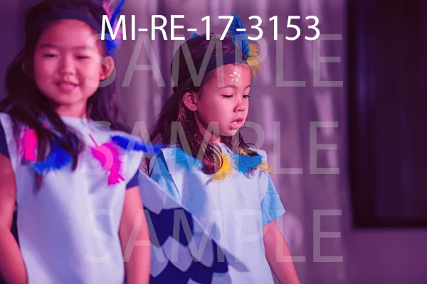 MI-RE-17-3153.jpg