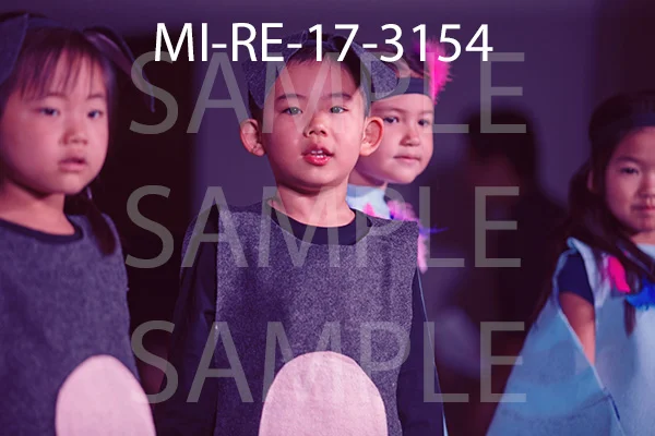 MI-RE-17-3154.jpg