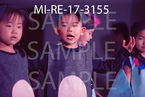 MI-RE-17-3155.jpg