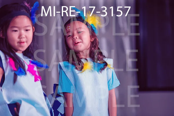 MI-RE-17-3157.jpg