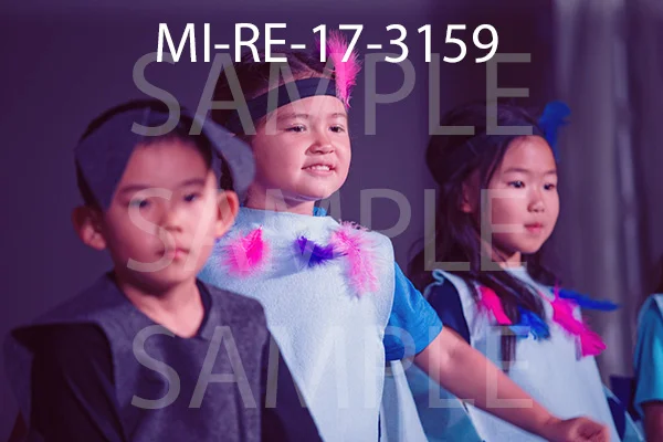 MI-RE-17-3159.jpg