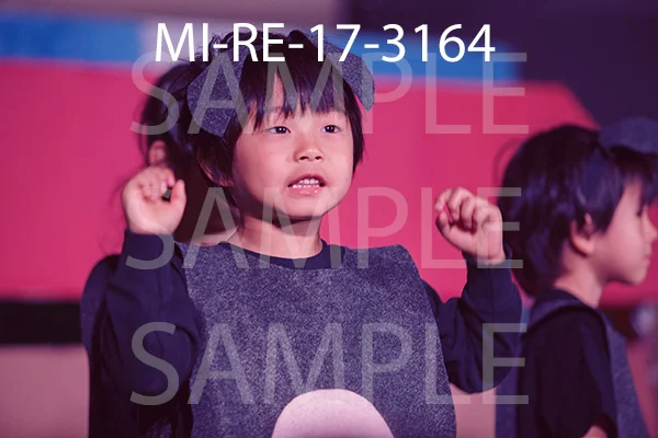 MI-RE-17-3164.jpg