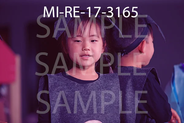 MI-RE-17-3165.jpg