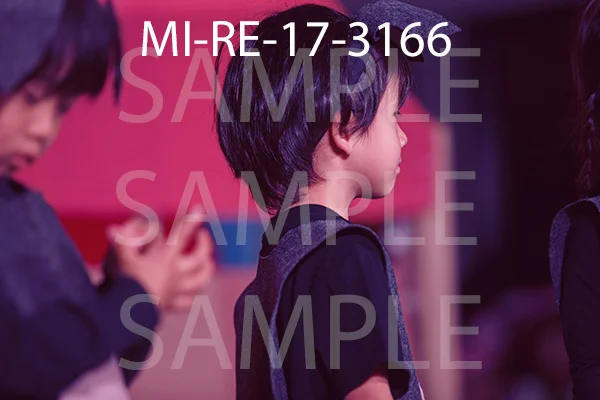MI-RE-17-3166.jpg