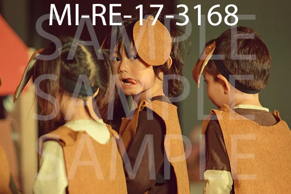 MI-RE-17-3168.jpg