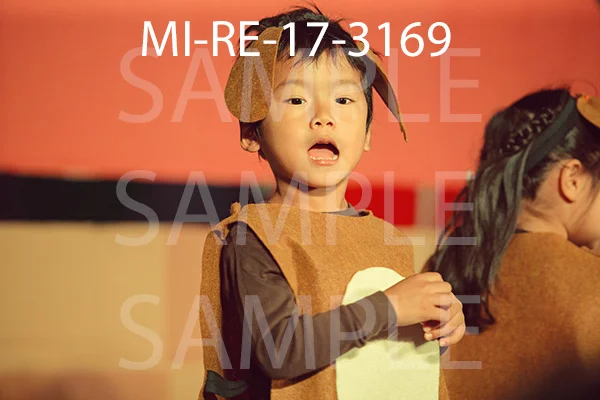 MI-RE-17-3169.jpg