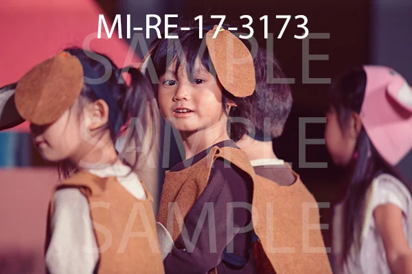 MI-RE-17-3173.jpg