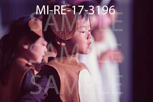 MI-RE-17-3196.jpg