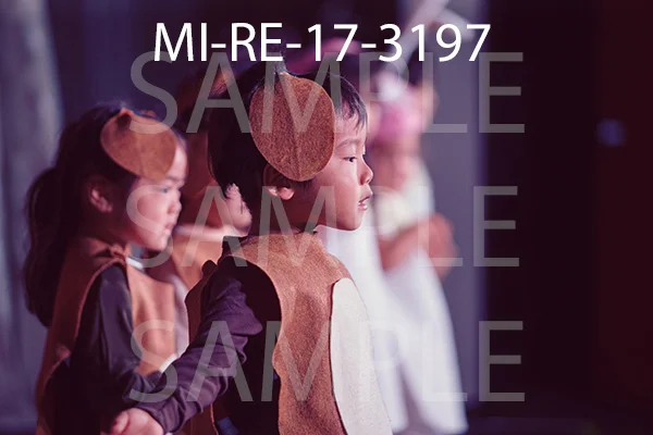 MI-RE-17-3197.jpg