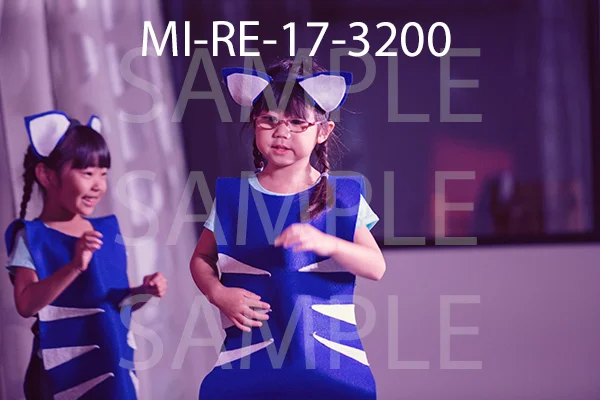 MI-RE-17-3200.jpg