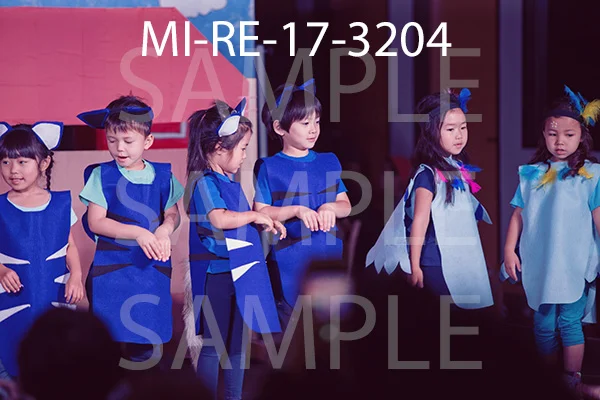 MI-RE-17-3204.jpg