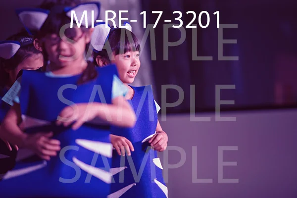 MI-RE-17-3201.jpg