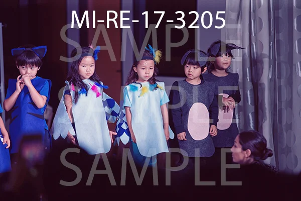 MI-RE-17-3205.jpg