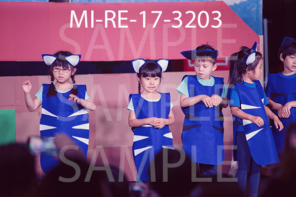 MI-RE-17-3203.jpg