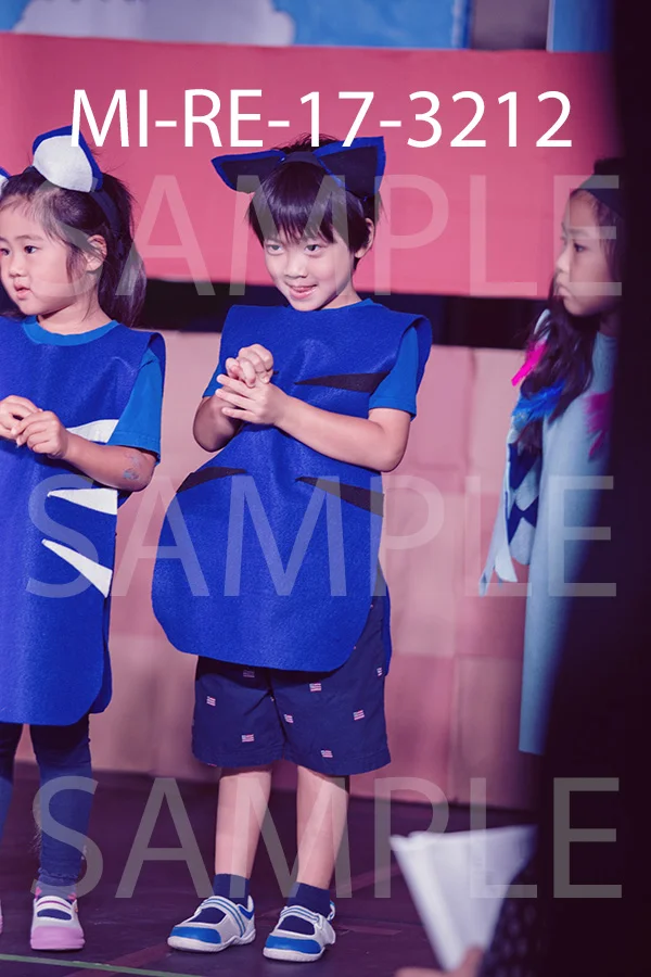 MI-RE-17-3212.jpg