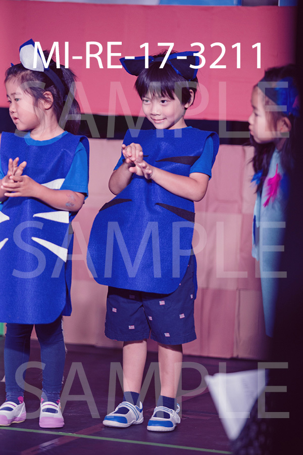 MI-RE-17-3211.jpg
