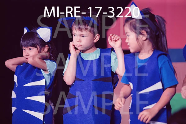 MI-RE-17-3220.jpg