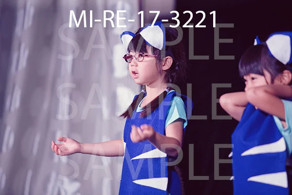 MI-RE-17-3221.jpg