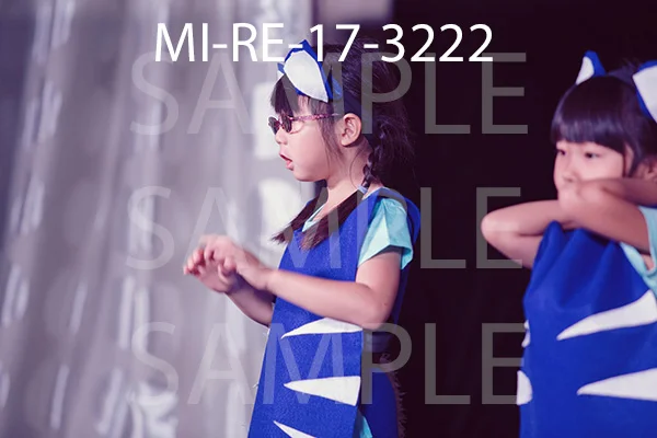 MI-RE-17-3222.jpg